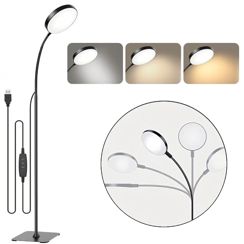 LED Floor Lamp