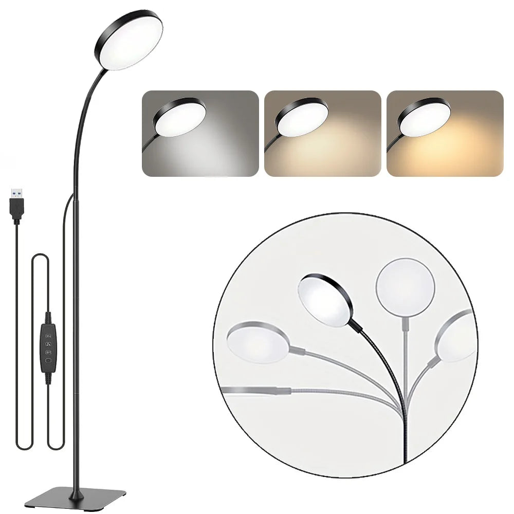 LED Floor Lamp