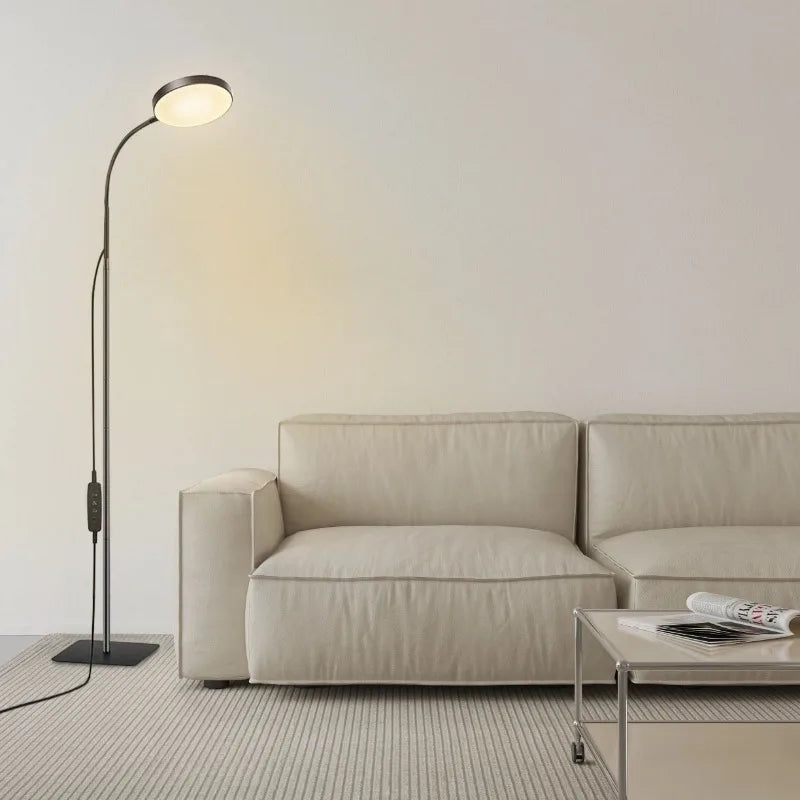 LED Floor Lamp