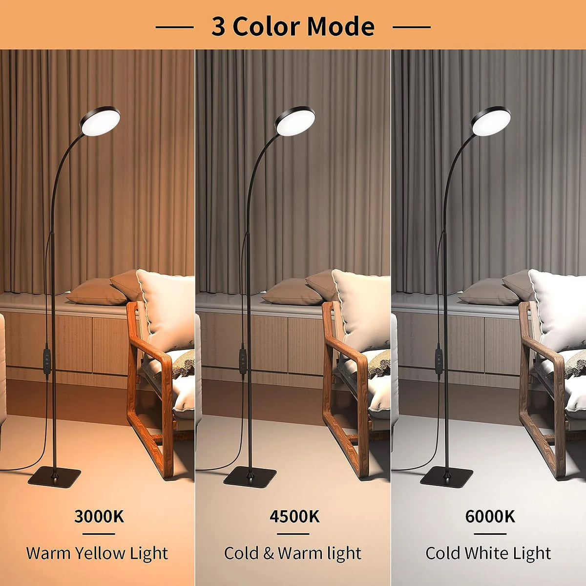 LED Floor Lamp