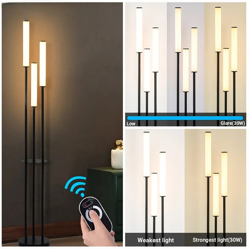 Dimmable LED Floor Lamp